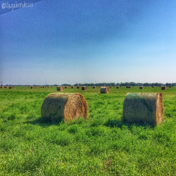 manitoba farm road trip
