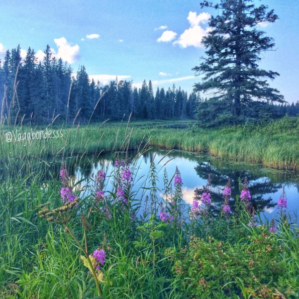 riding mountain national park