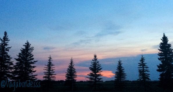 pink sunset