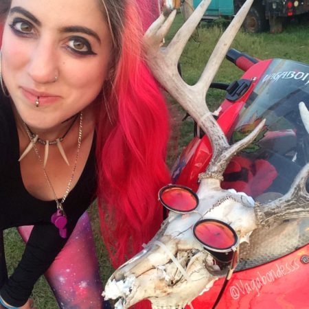 antlers on motorcycle